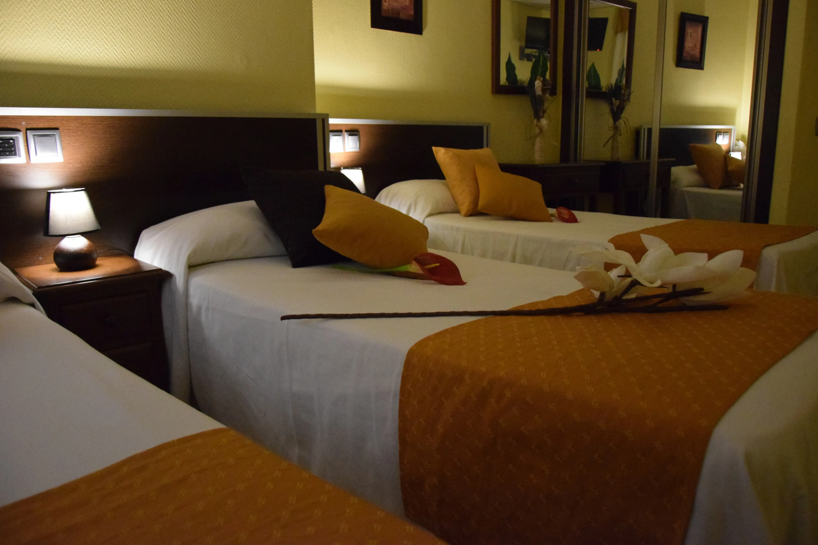 Foto - Hotel Complutense