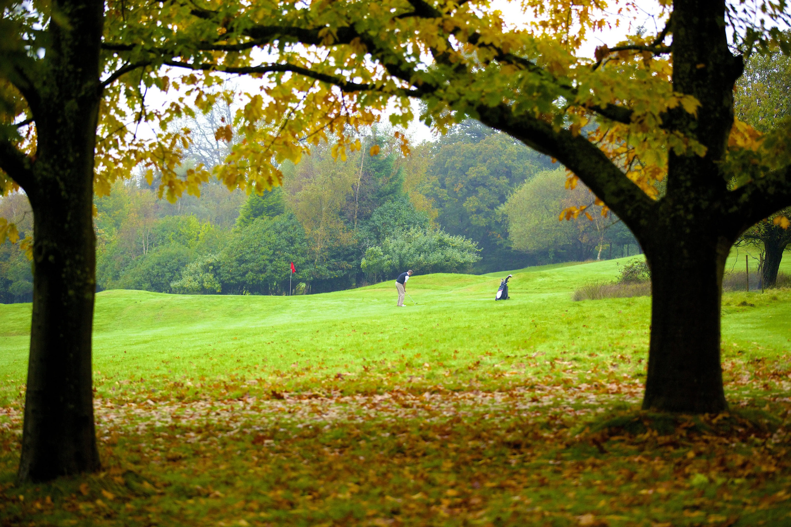 Foto - Ashdown Park Hotel & Country Club