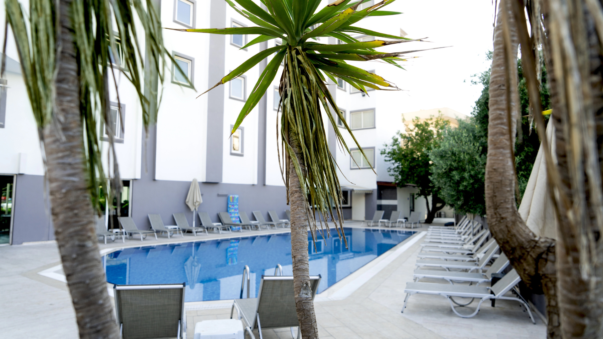 Foto - Mert Seaside Hotel