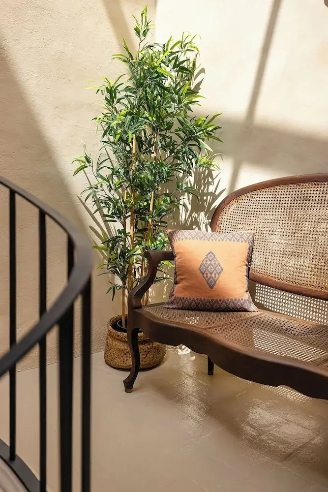 Foto - Hotel Vella Nit