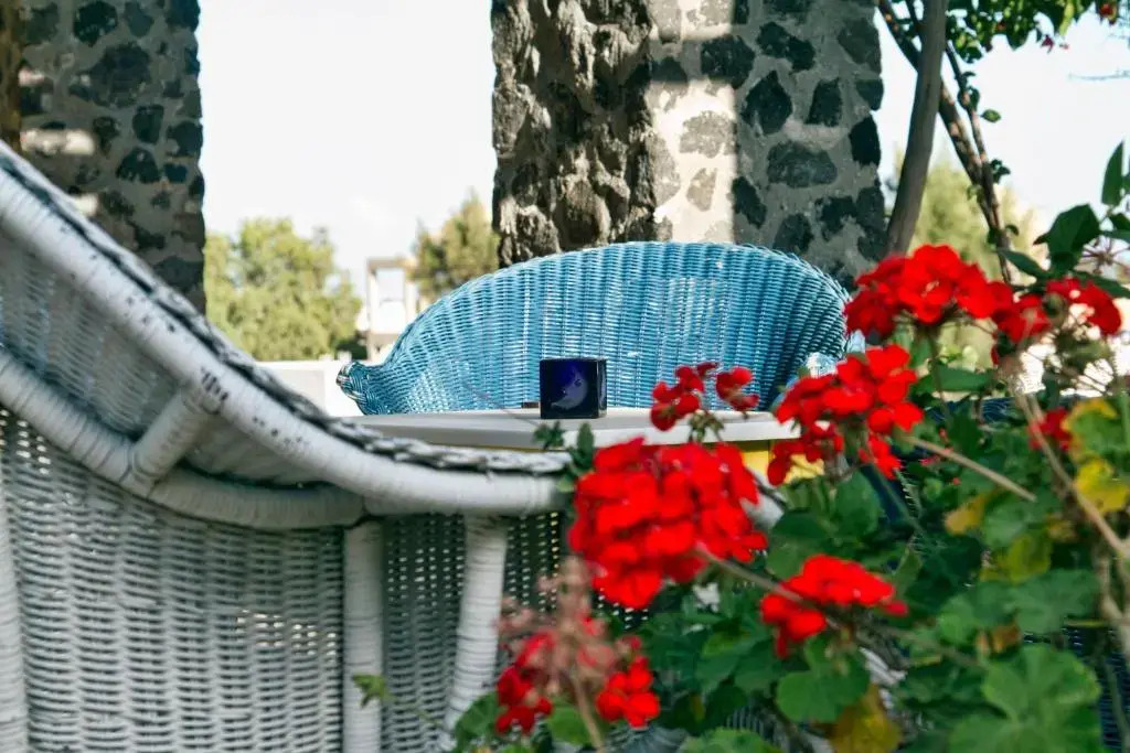 Foto - Birds Villa Apartments with Heated Pool - Including Car and Breakfast