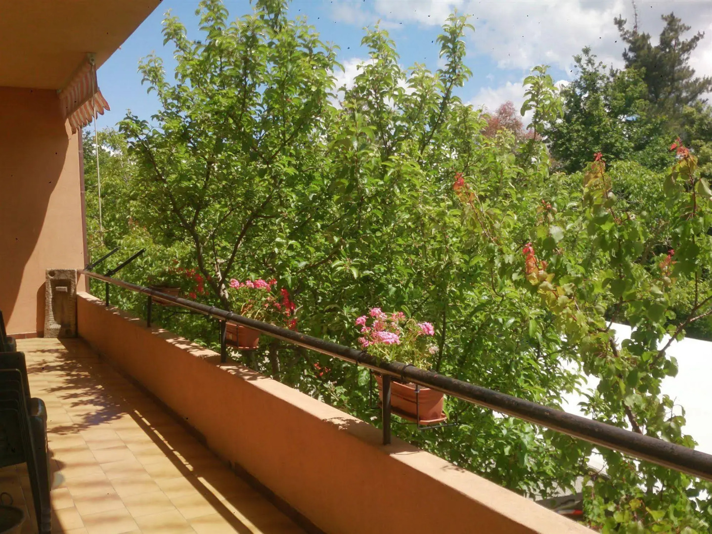 Photo - Hotel Miramonti Seulo Turismo Rurale