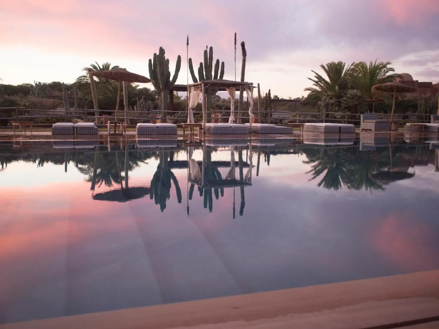 Photo - Fellah Hotel