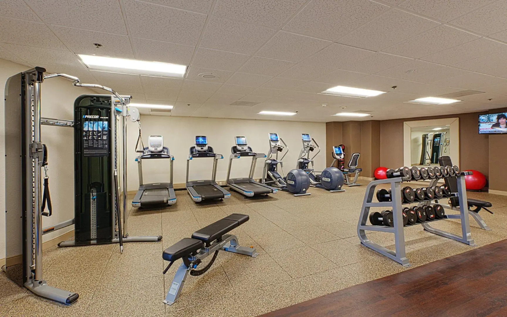 Foto - Embassy Suites by Hilton Tampa Airport Westshore