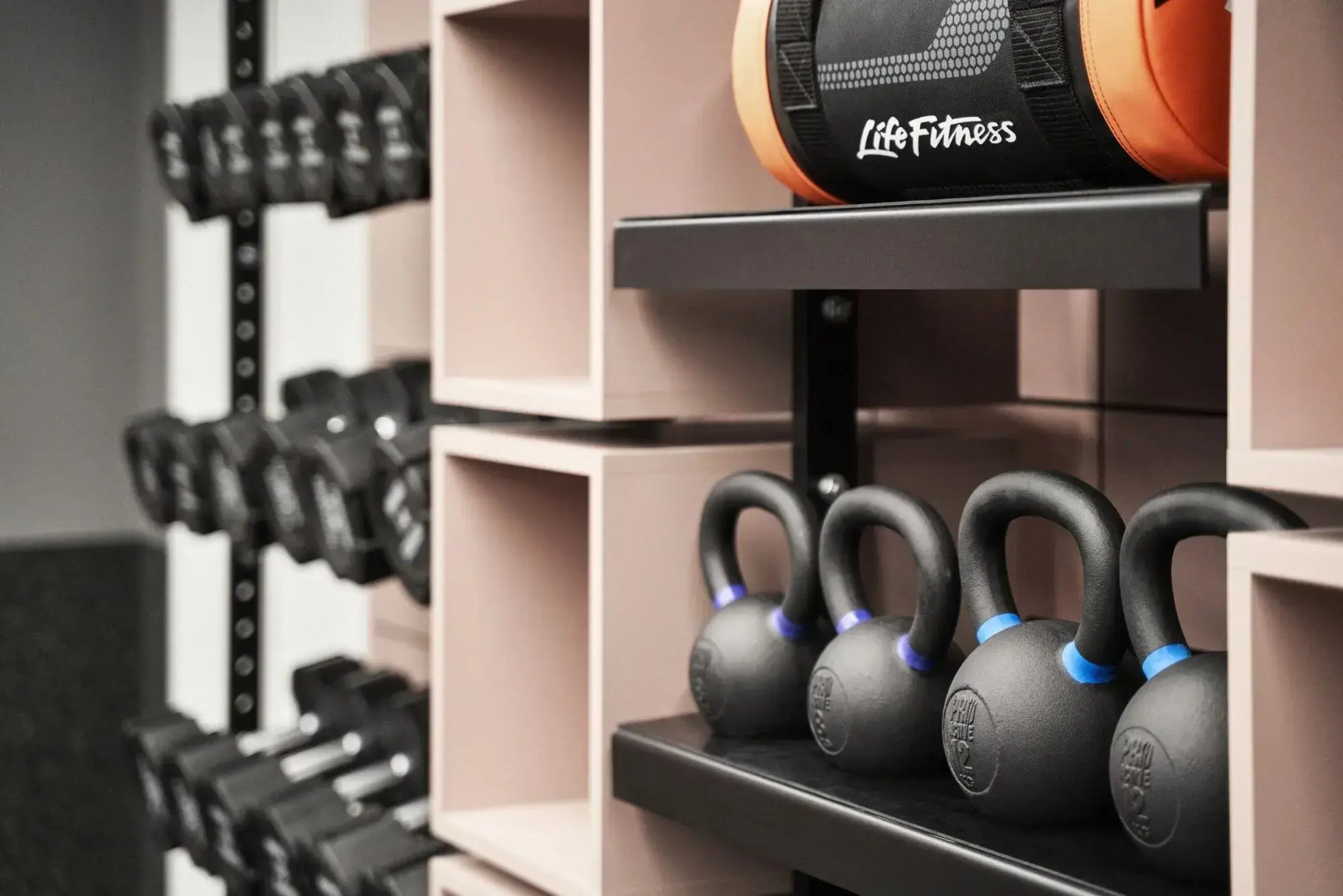 Photo - Schwan Locke