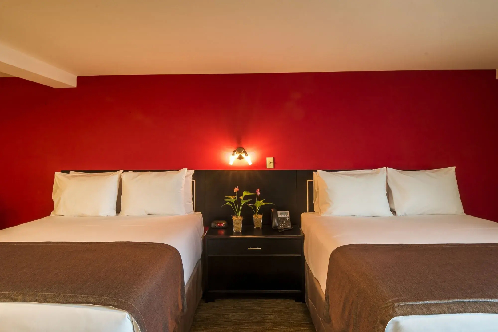 Photo - Urban Green Hotel & Suites