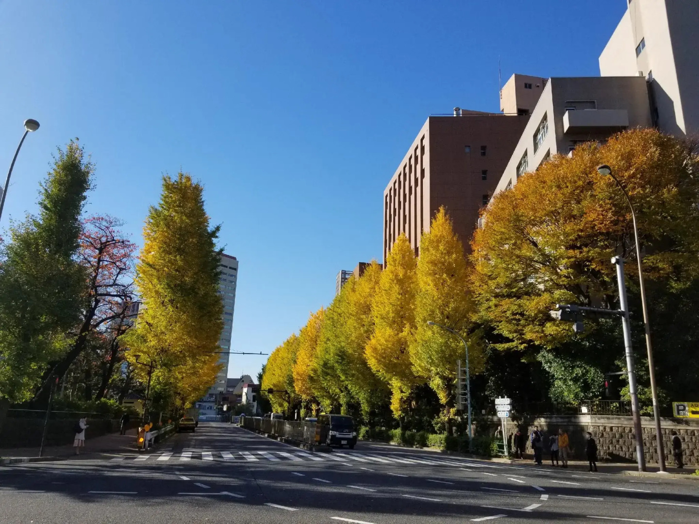 Foto - Hotel Tokyo Garden Palace
