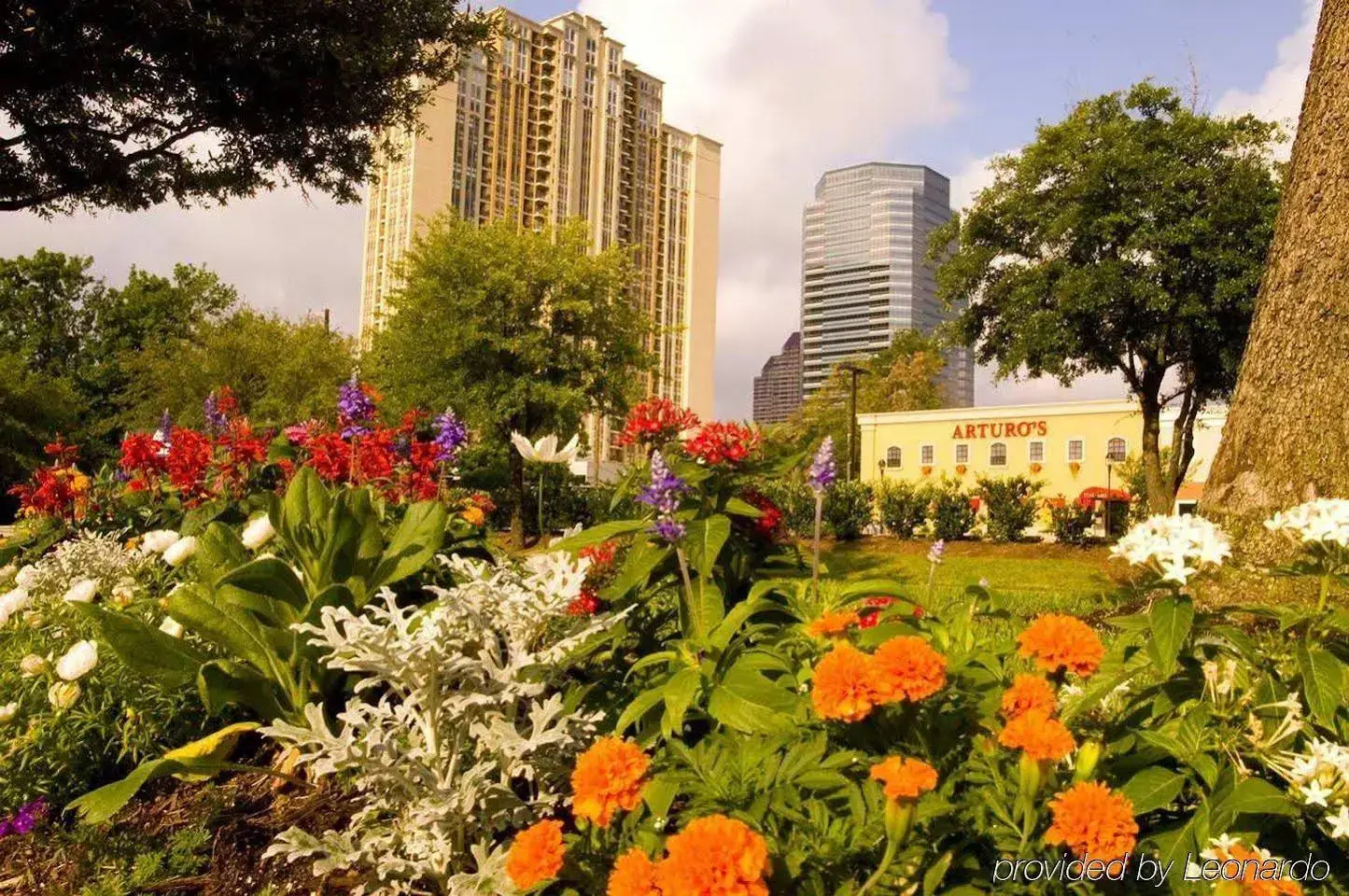 Foto - Hilton Garden Inn Houston/Galleria Area