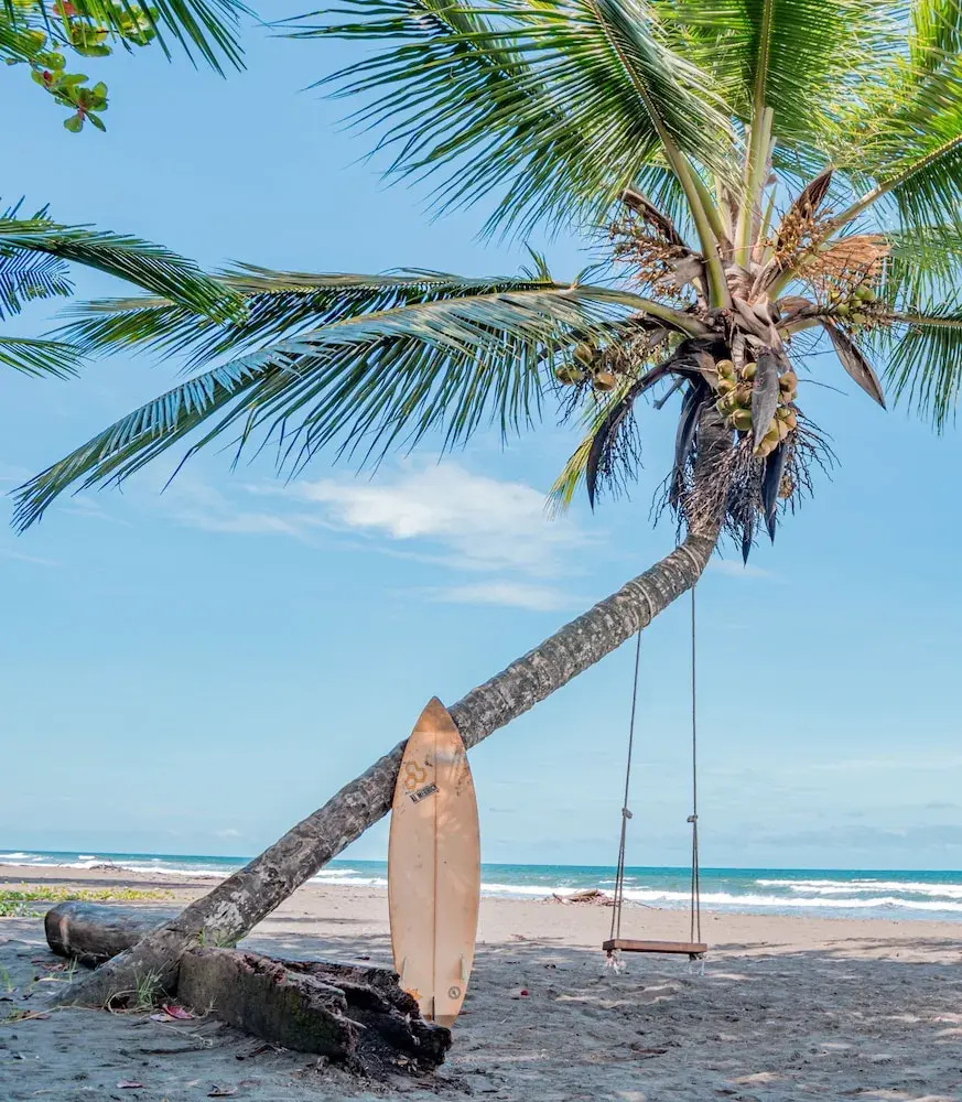 Foto - Hotel Serendipity tortuguero