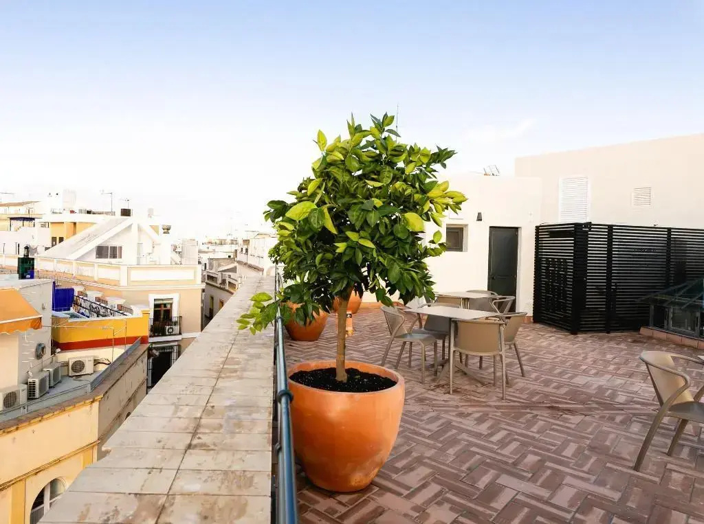 Foto - Joya del Casco Boutique Hotel
