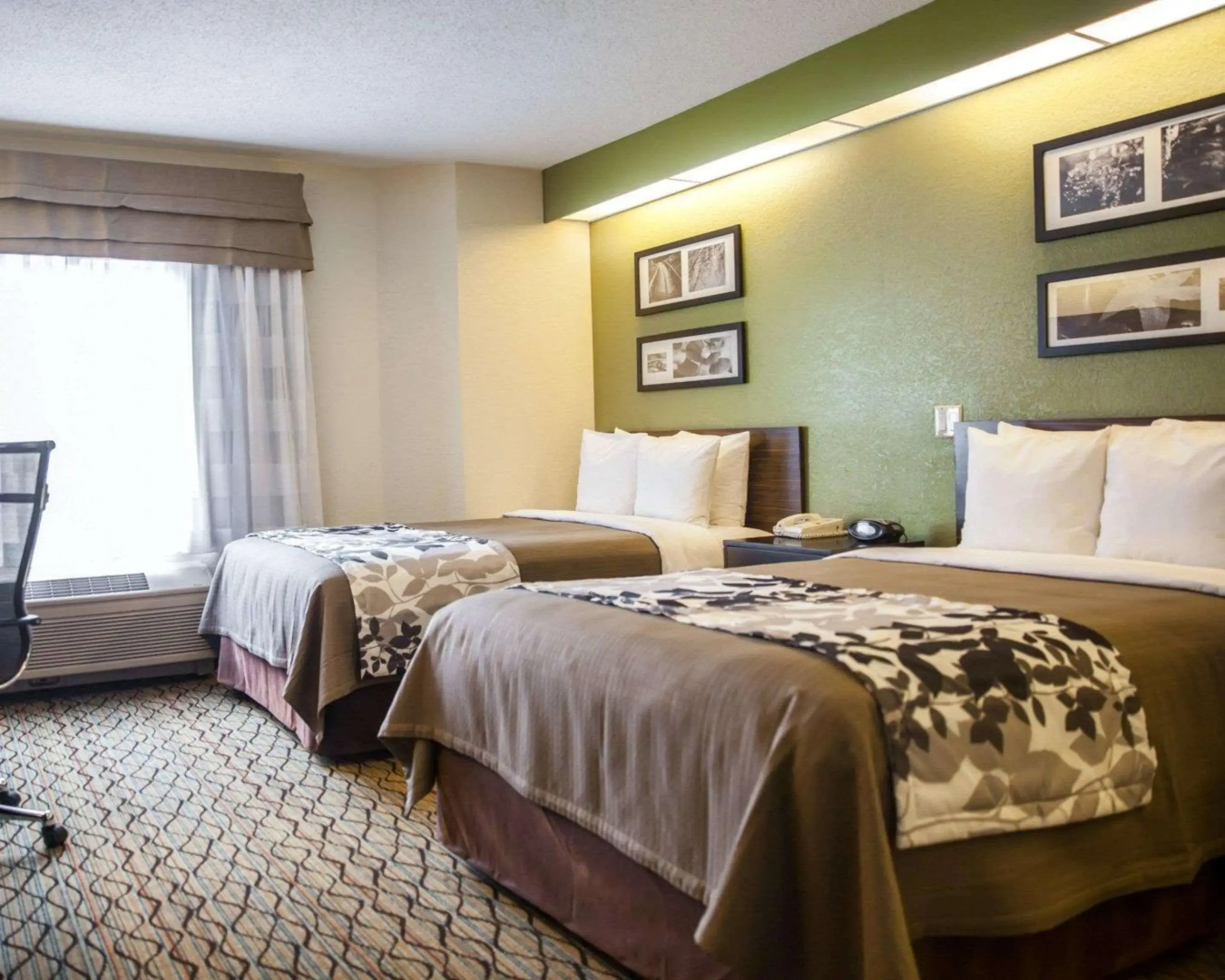 Foto - Sleep Inn Rockville