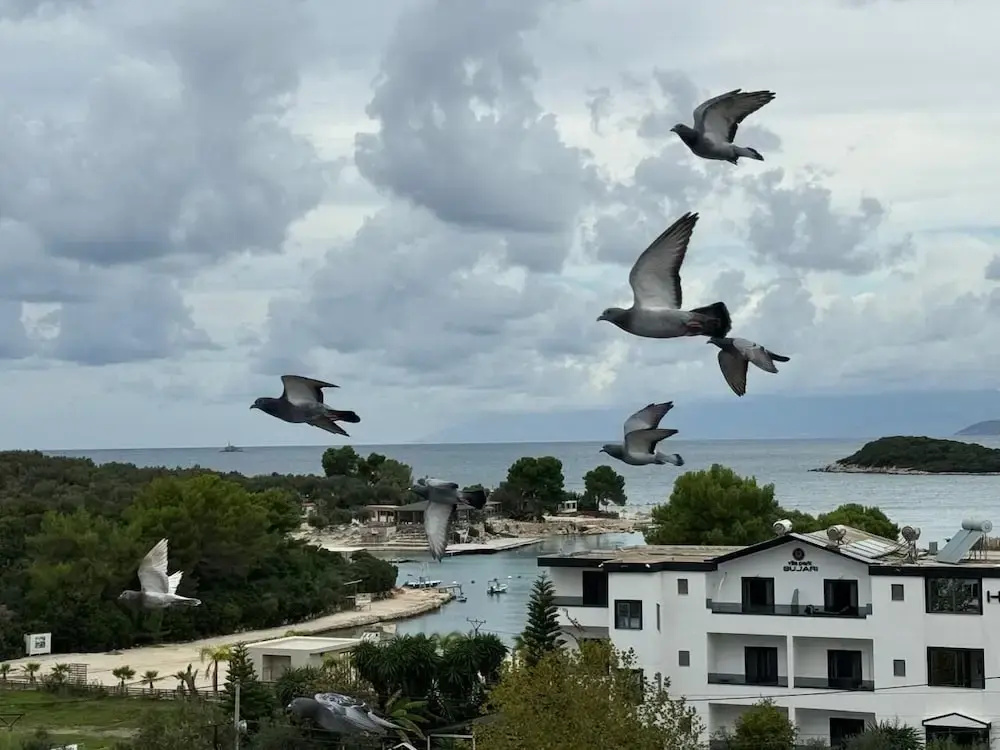 Photo - Muze Hotel