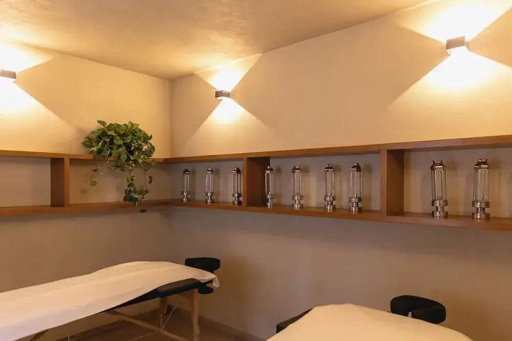 Foto - Orchid House Coyoacán