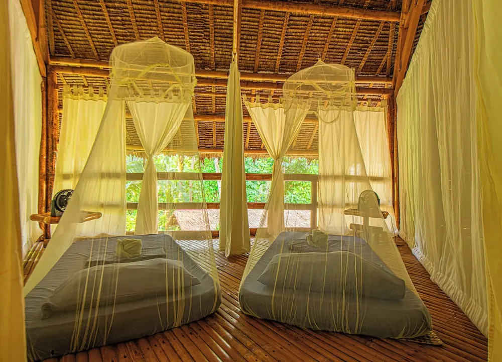 Water To Forest Ecolodge