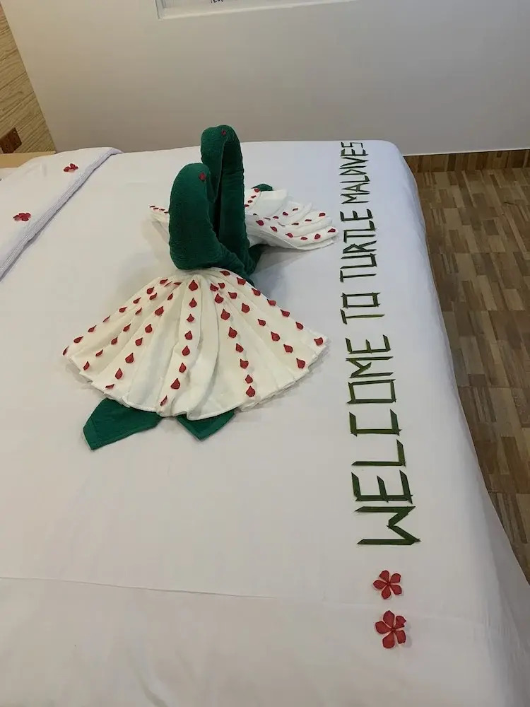 Photo - Turtle Maldives - Your Gateway to the Beach & Marine Adventures Await!