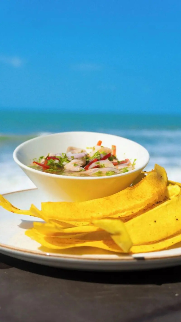 Foto - coconuco beach palomino