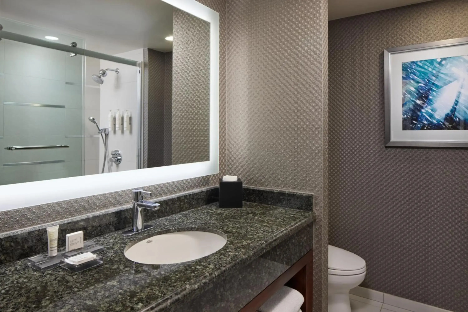 Foto - Crystal Gateway Marriott