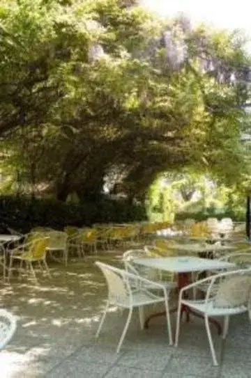 Photo - Hotel Carol