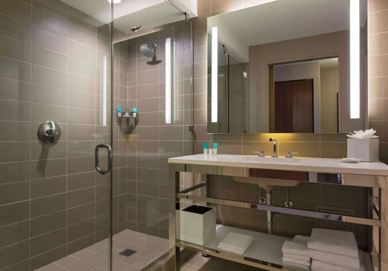 Foto - Hyatt Regency McCormick Place Chicago