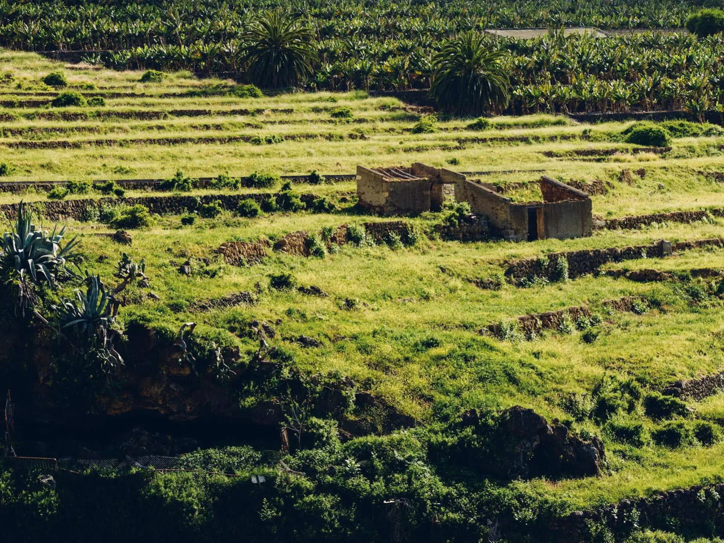 Photo - Route Active Hotel