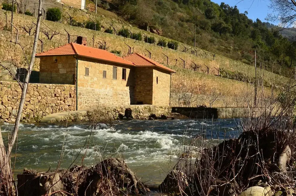 Foto - Quinta de Recião