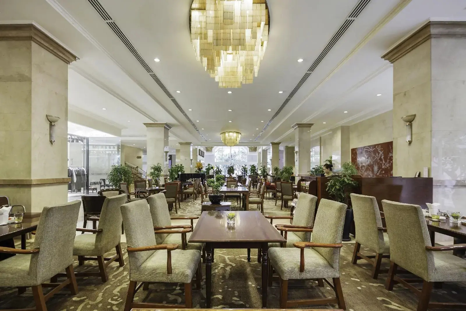 Foto - Rex Hotel