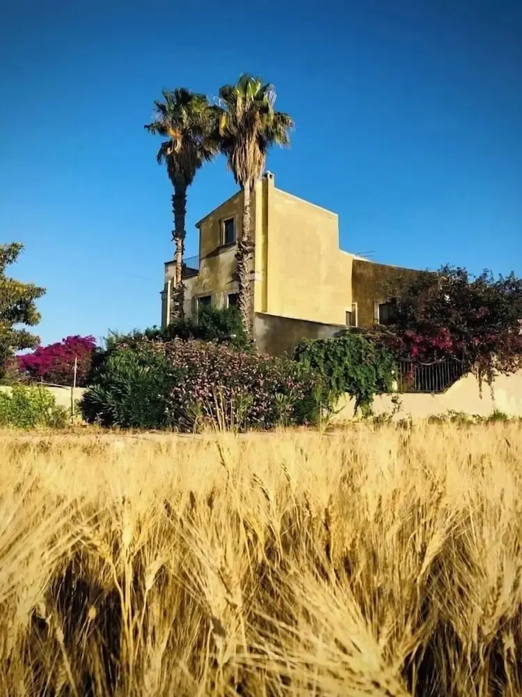 Photo - Mater Familias Oasis