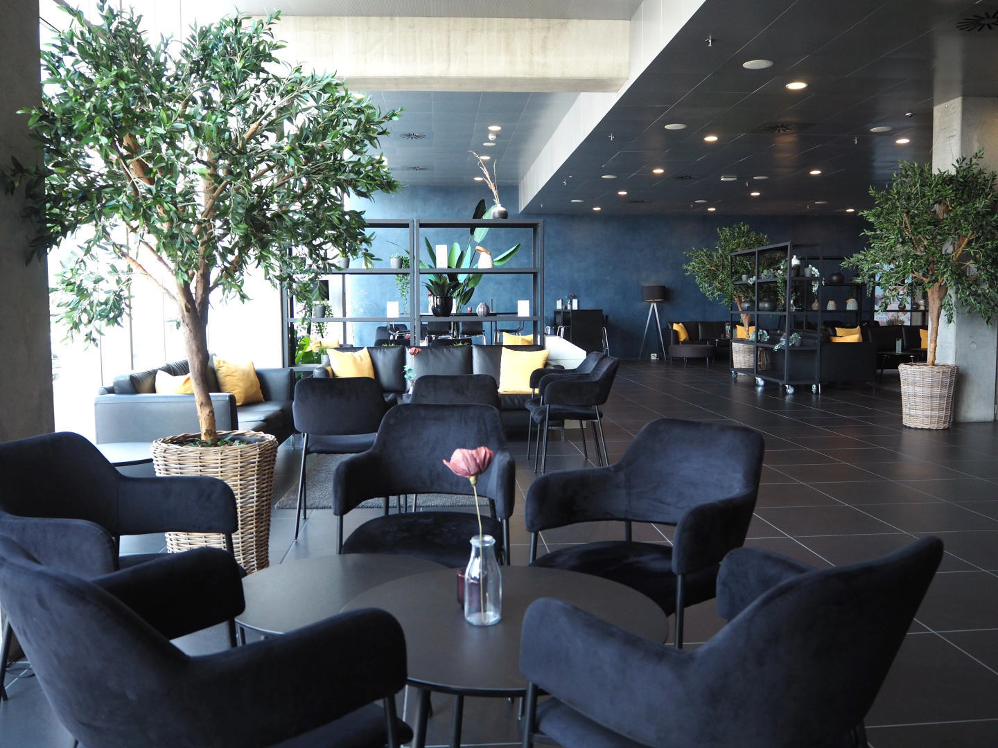Photo - CABINN Apartments