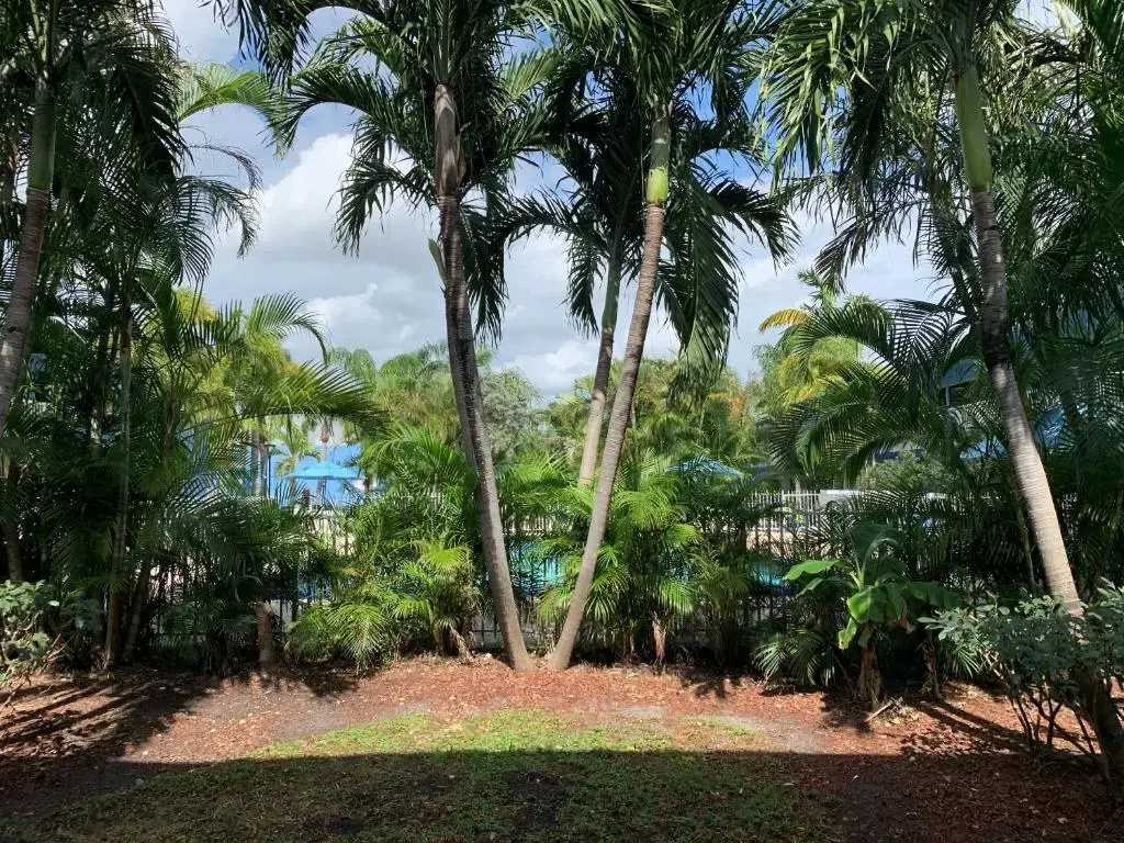 Foto - Rodeway Inn & Suites Fort Lauderdale Airport & Cruise Port
