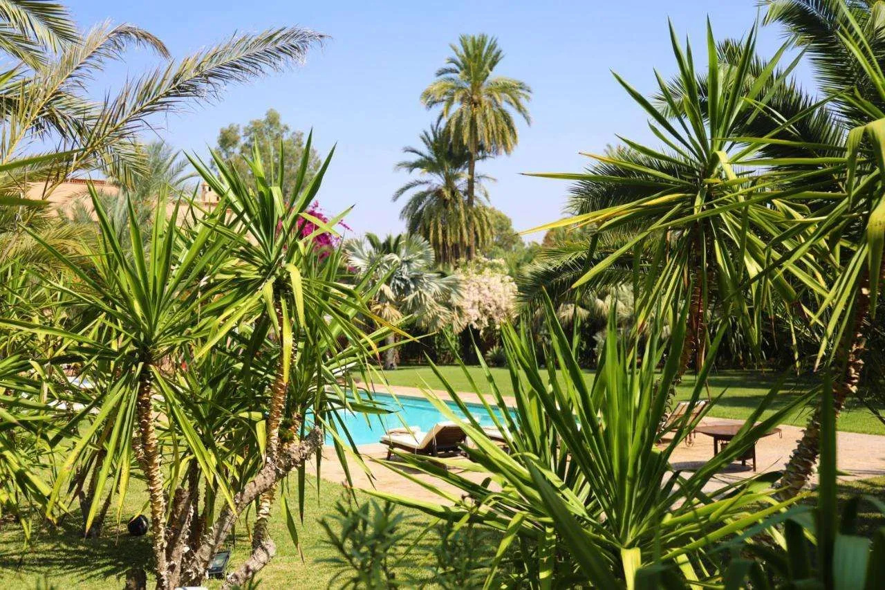 Photo - Villa Le Perroquet Bleu