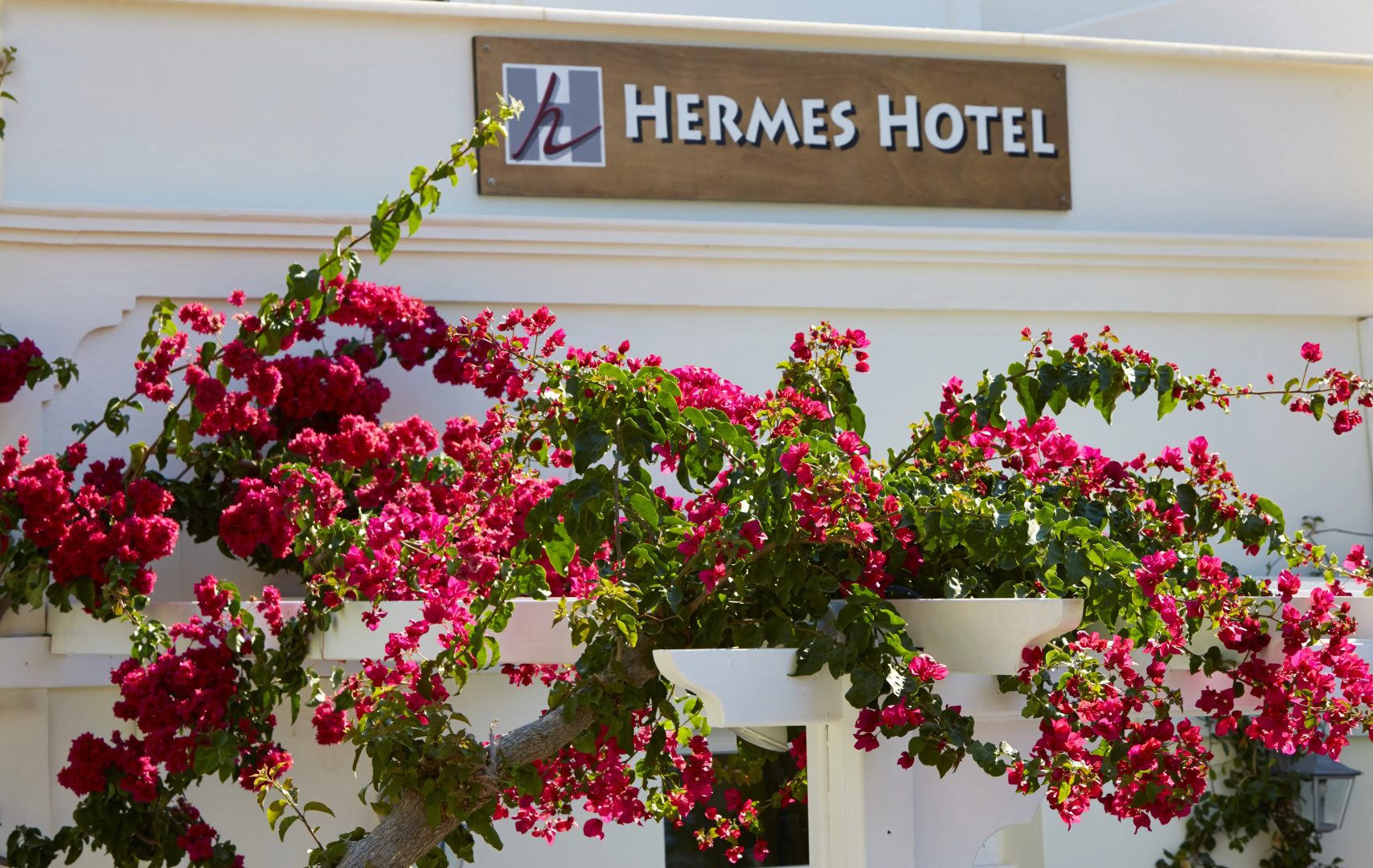 Foto - Hermes Hotel