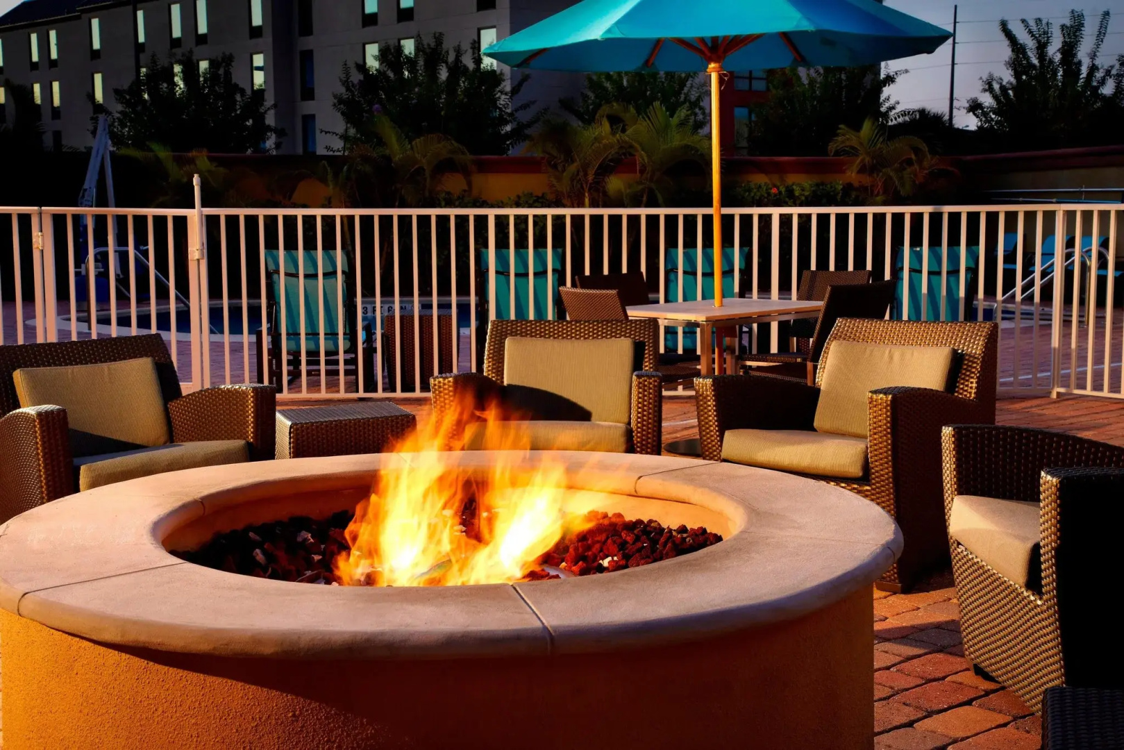 Foto - Residence Inn by Marriott Tampa Oldsmar