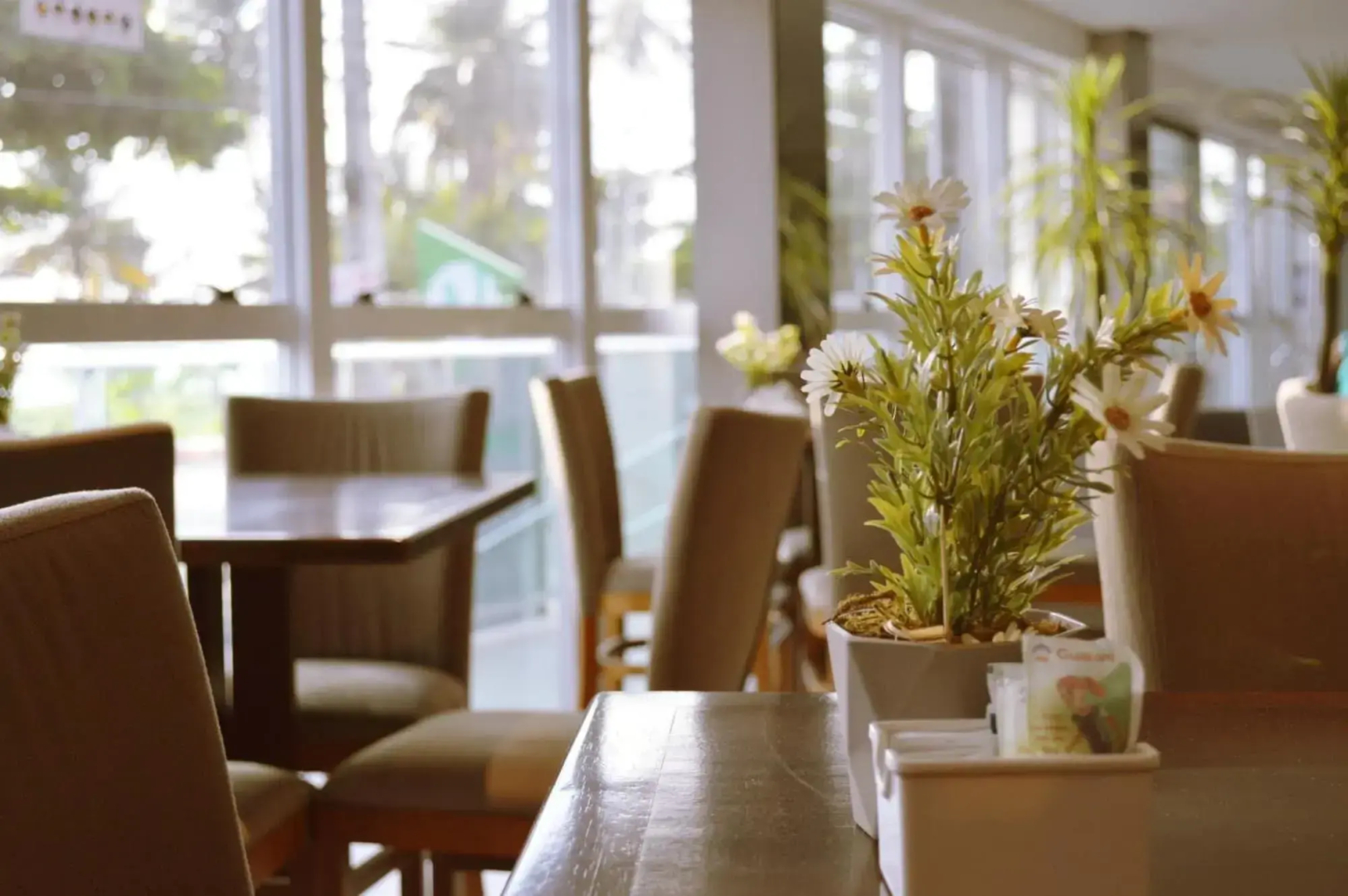 Foto - Nord Easy Ondas do Atlantico