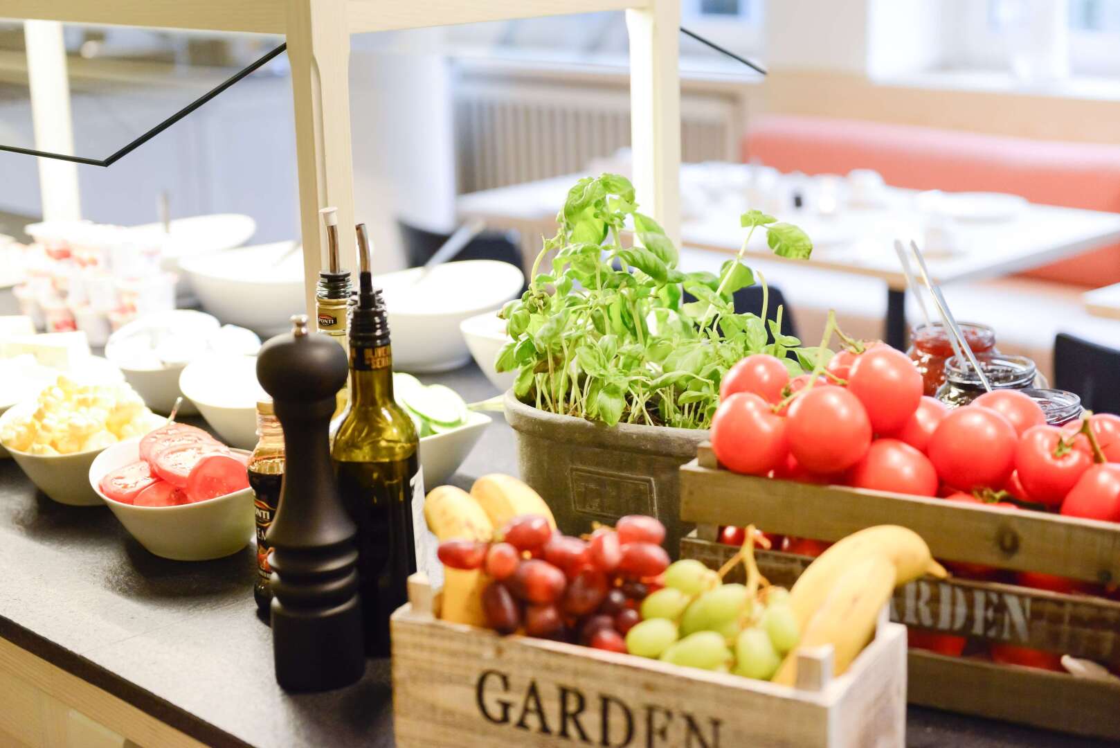 Foto - Hotel Stella Maris