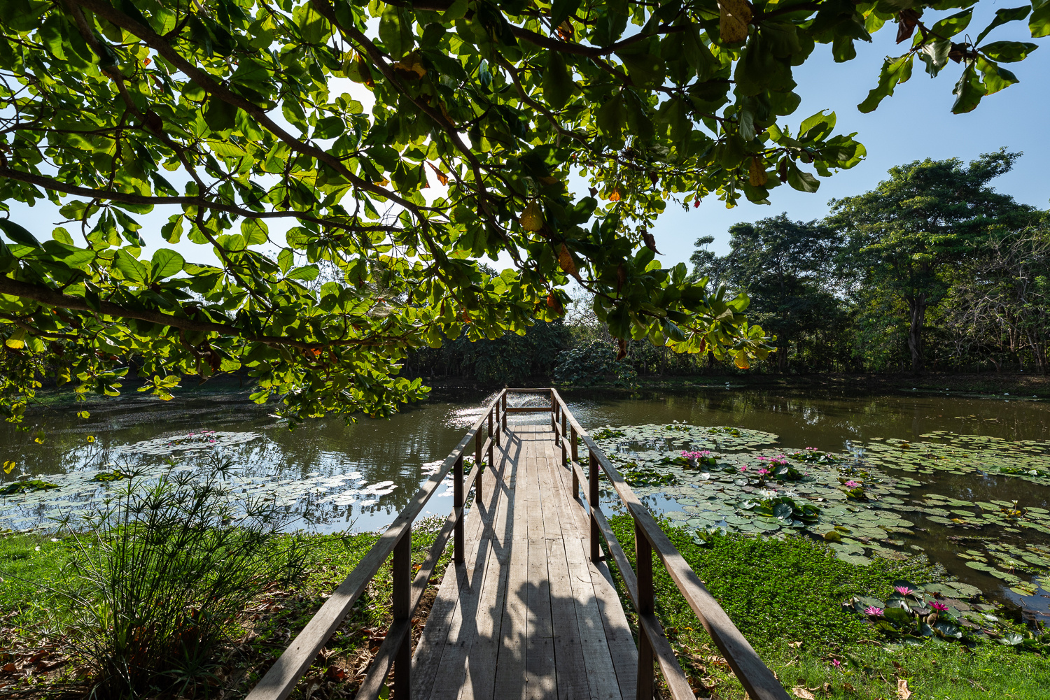 Foto - Aite Eco Resort