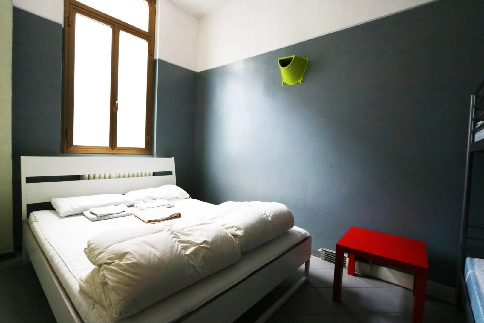 Photo - Koala Hostel