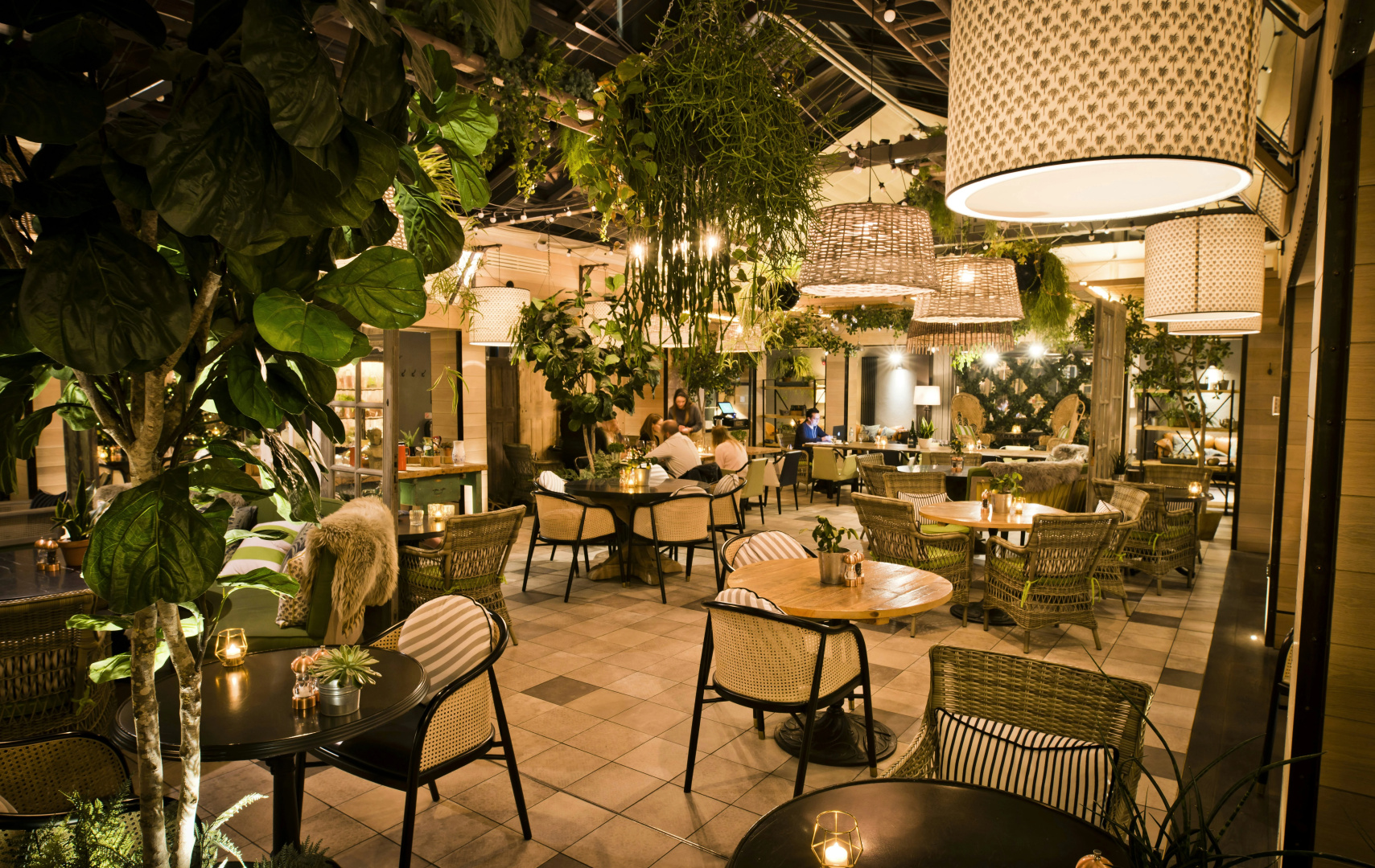 Photo - Kimpton Charlotte Square by IHG