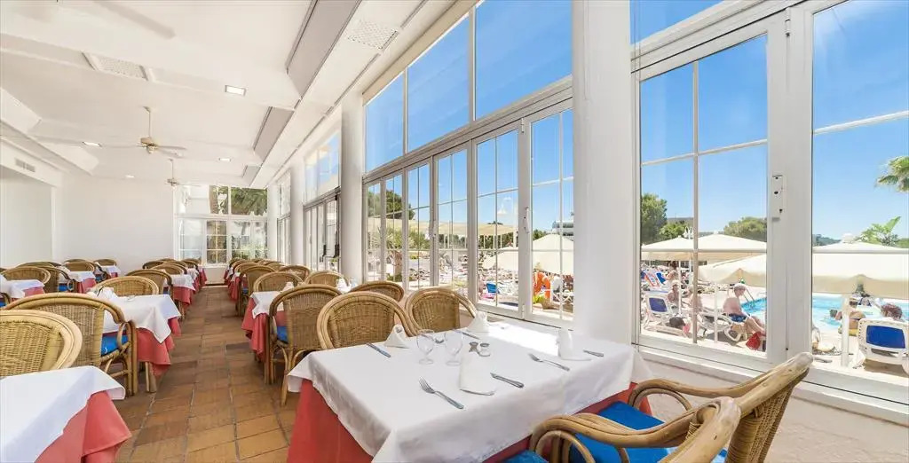 Foto - Globales Mimosa