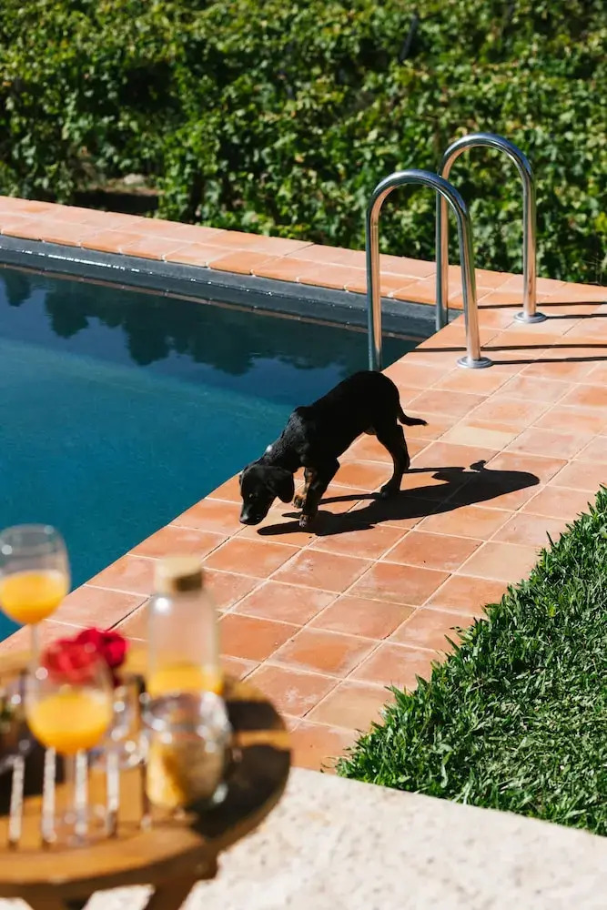 Foto - Quinta de Recião