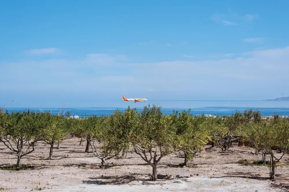 Photo - Zaitun Luxury Suites