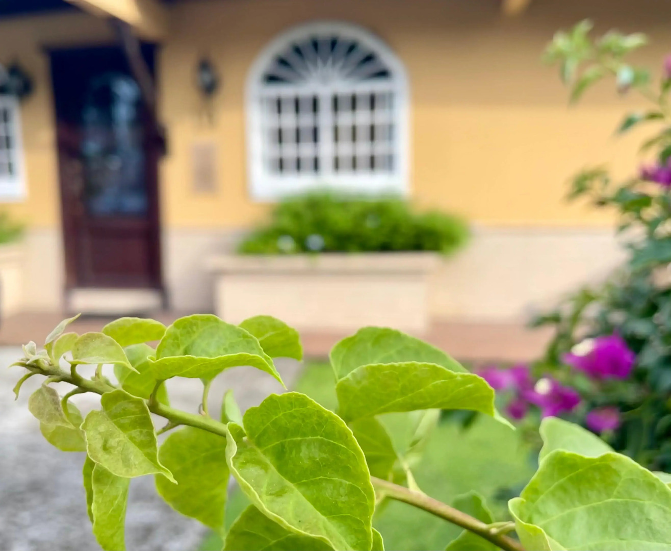 Foto - Sofia's B&B Hostal Boutique