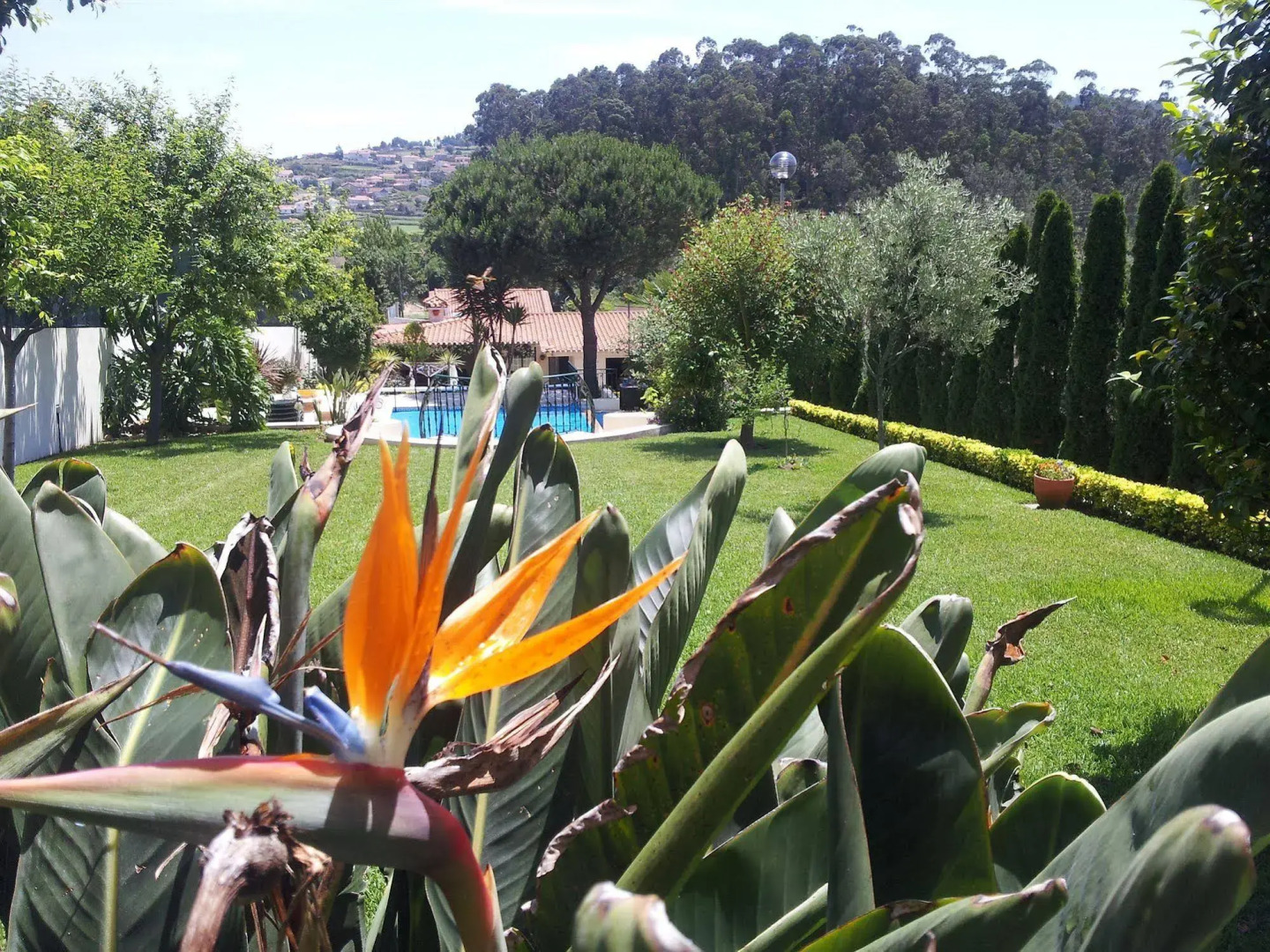 Foto - Villa d'Arcos