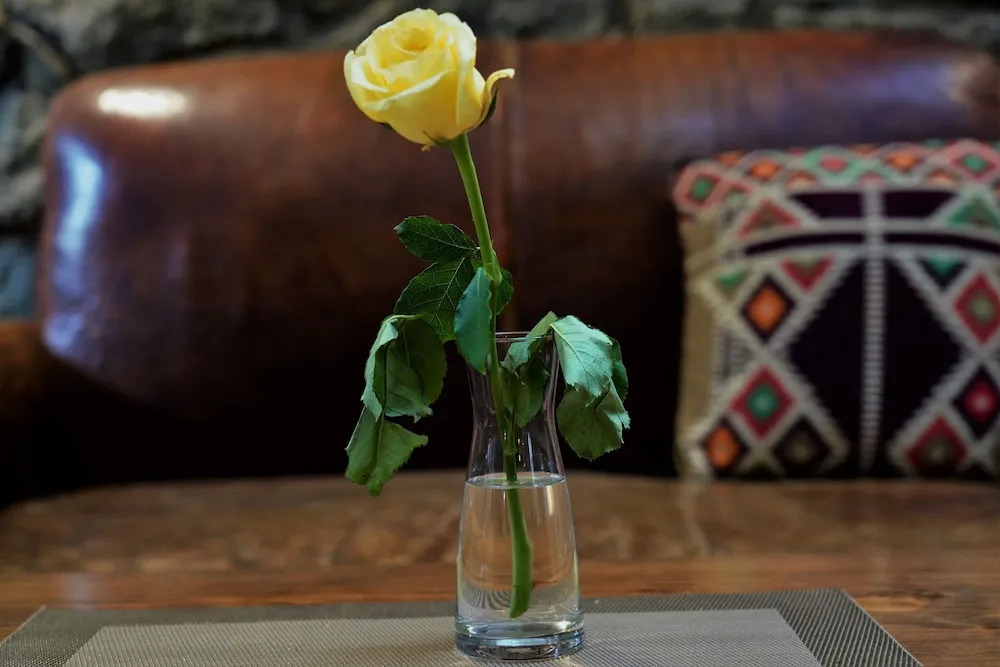 Foto - Tryst Boutique Hotel