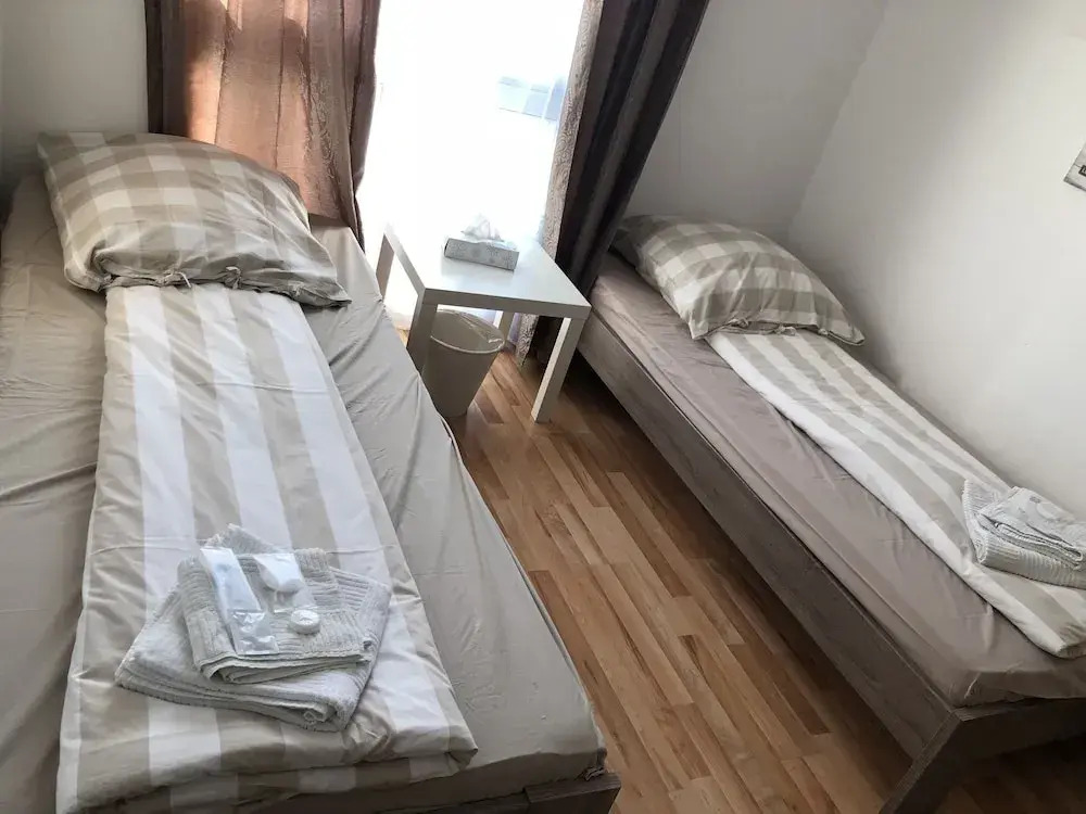 Photo - Sahara Falcon