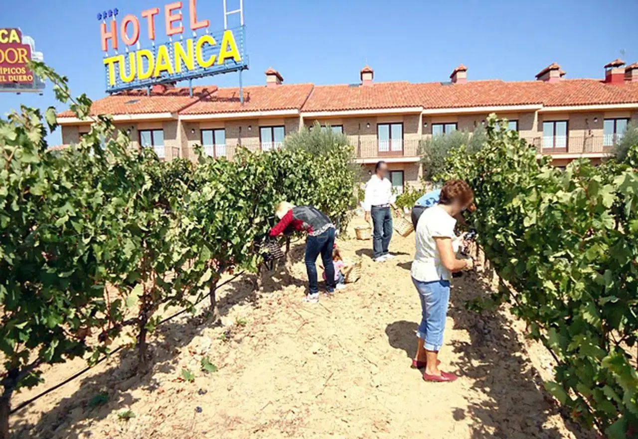 Foto - Hotel Spa Tudanca Aranda