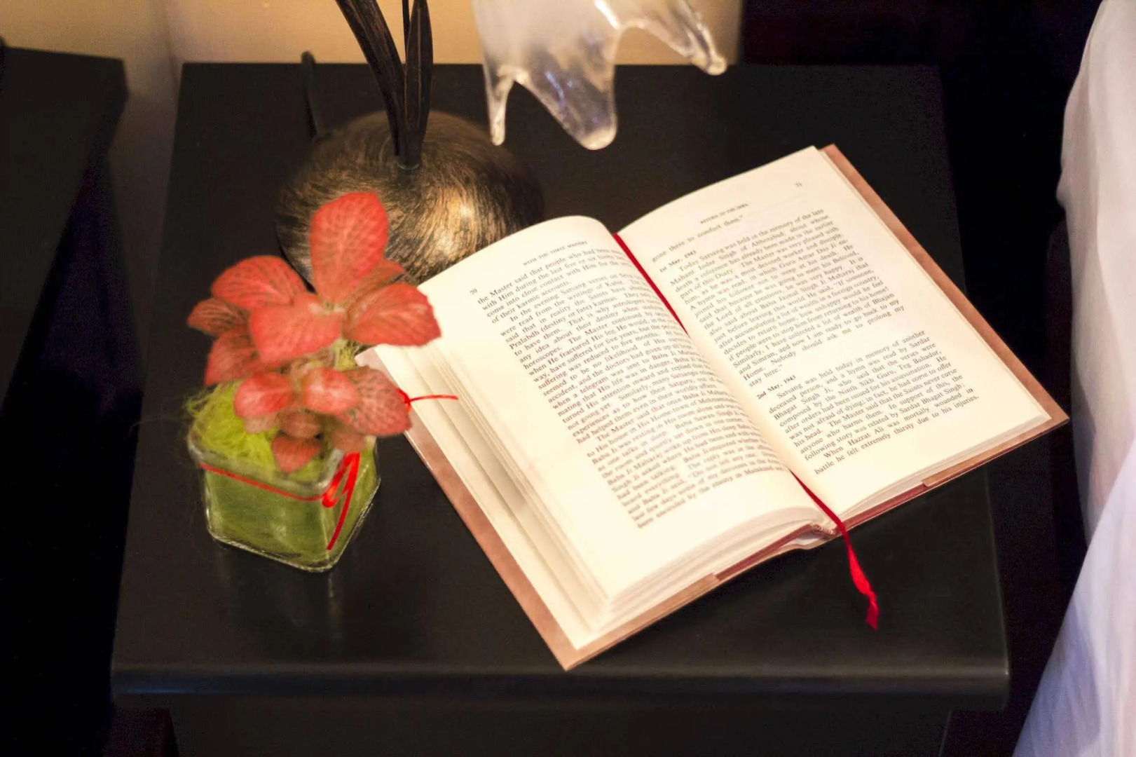 Foto - Zappion Hotel