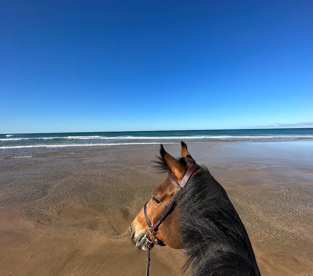 Foto - Royal Club Equestre Detroit Bed and Breakfast