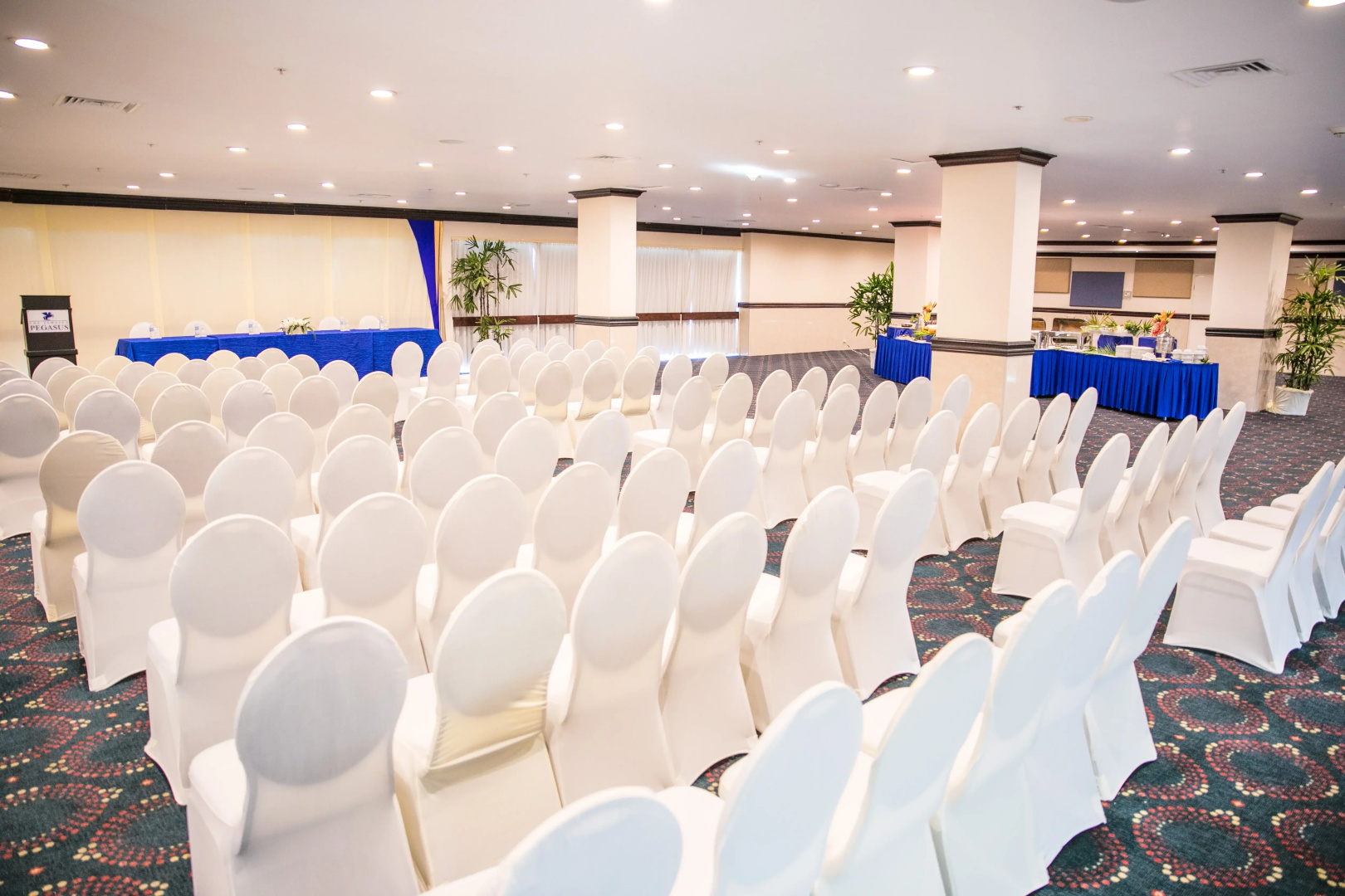 Foto - The Jamaica Pegasus Hotel