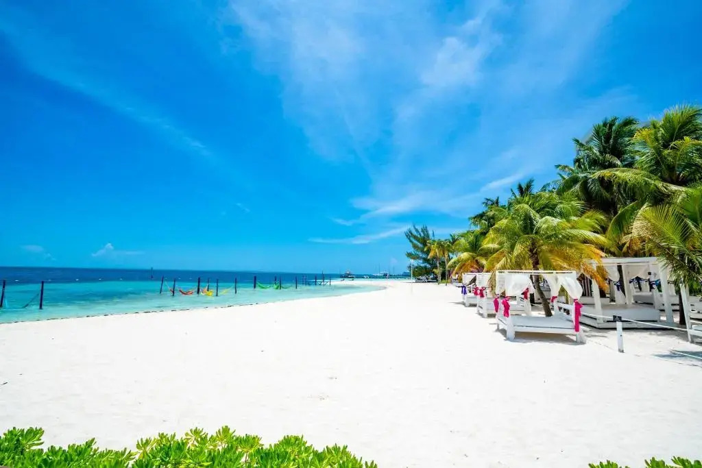 Foto - Smart Cancun the Urban Oasis