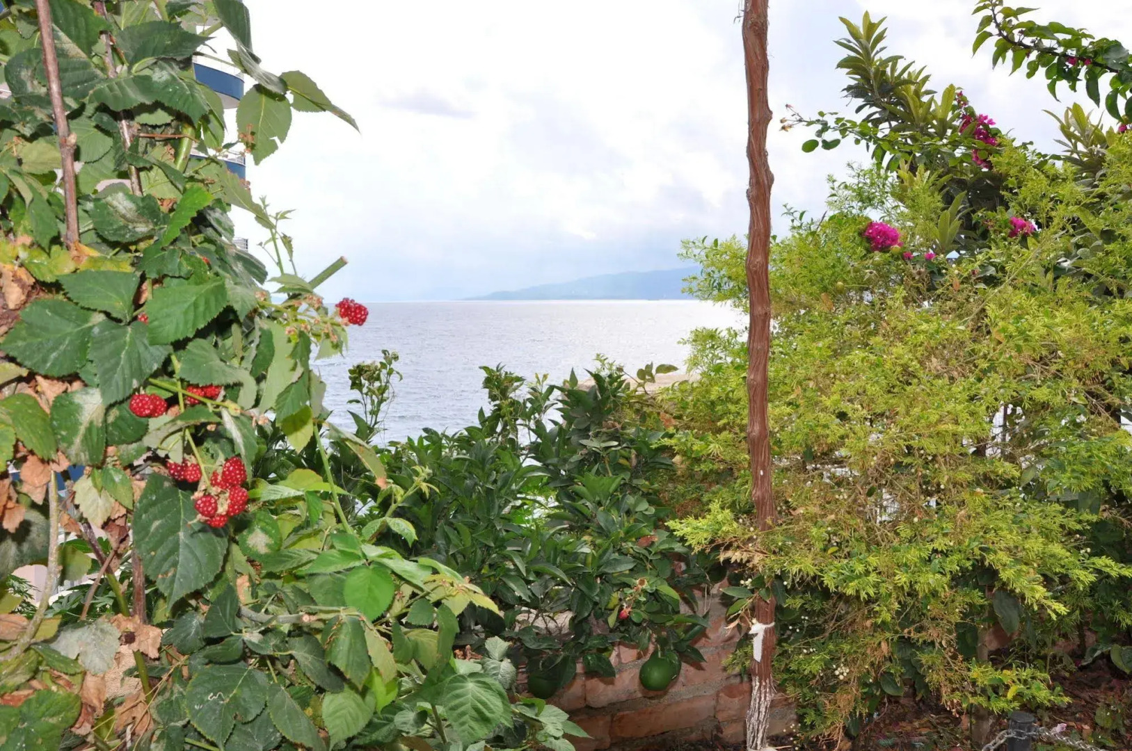 Foto - Hotel Vila Alvin & Apartments